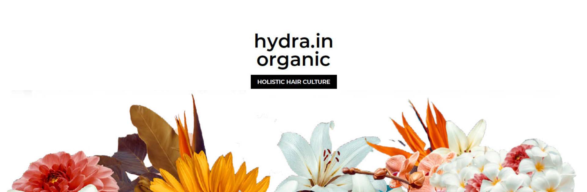 hidratación y nutrición para el cabello con Hydra.In Organic